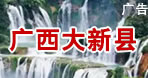 大新